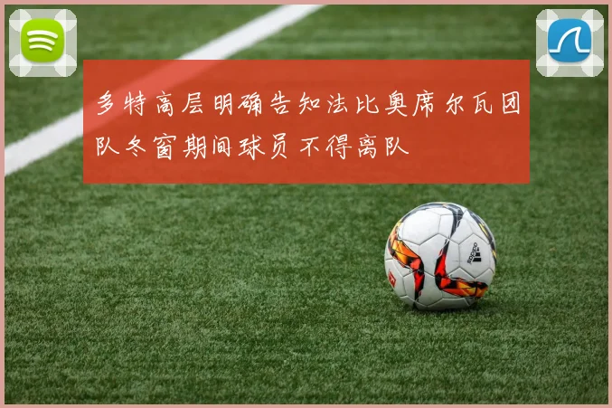 多特高层明确告知法比奥席尔瓦团队冬窗期间球员不得离队