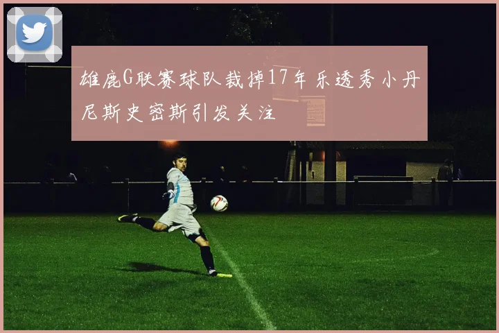 雄鹿G联赛球队裁掉17年乐透秀小丹尼斯史密斯引发关注