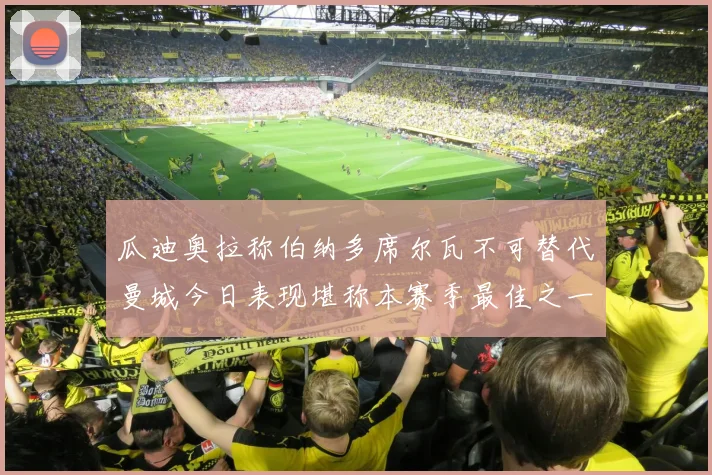 瓜迪奥拉称伯纳多席尔瓦不可替代曼城今日表现堪称本赛季最佳之一