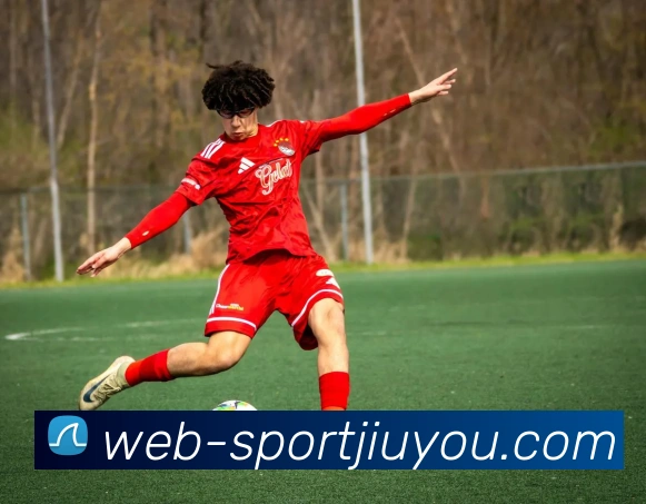 App Interface Preview